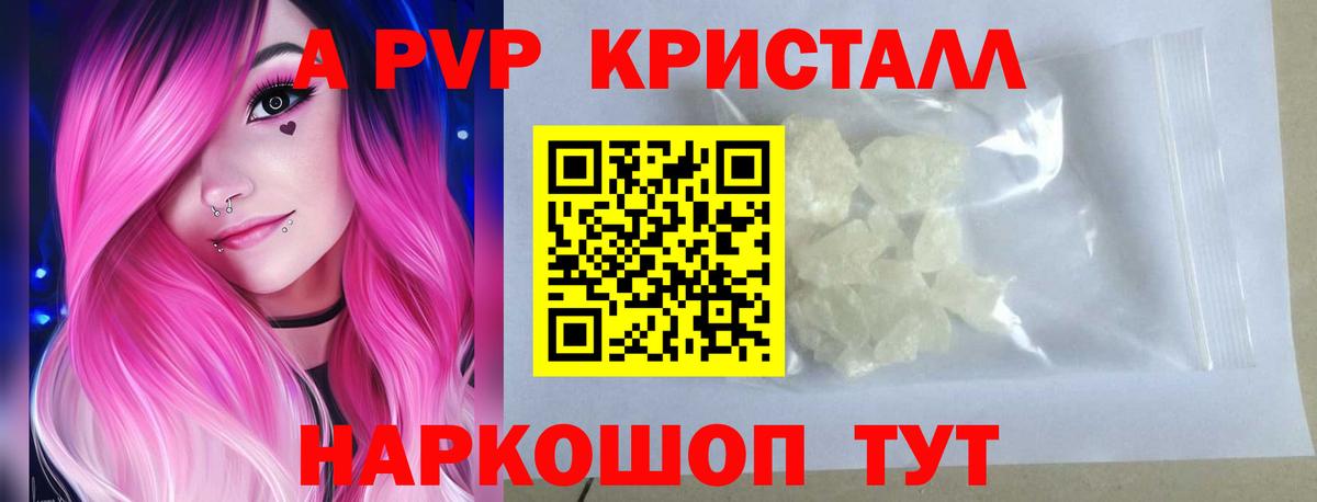 закладки  Вход с VPN  Отрадное  А ПВП крисы CK 