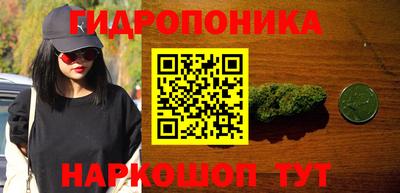 ECSTASY Сланцы